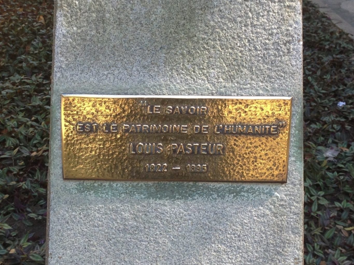 Louis Pasteur's bust (4).JPG